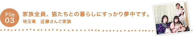 File 03 家族全員、猫たちとの暮らしにすっかり夢中です。