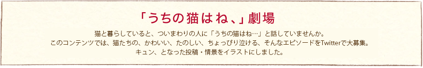 「うちの猫はね、」劇場