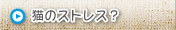 猫のストレス？