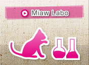 Miaw Labo