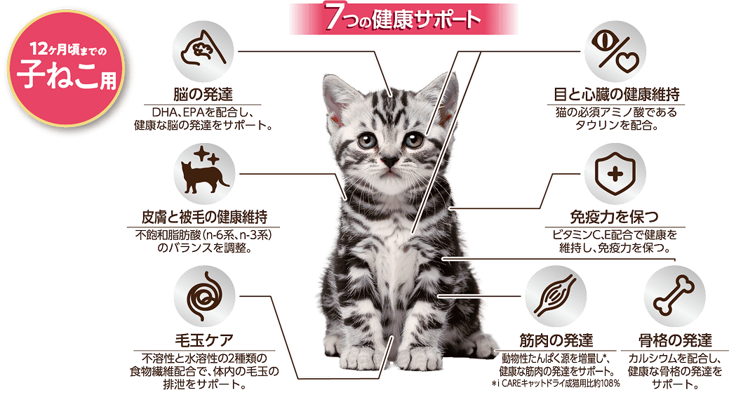 12ヶ月頃までの子ねこ用