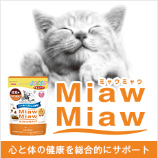 Miaw Miaw