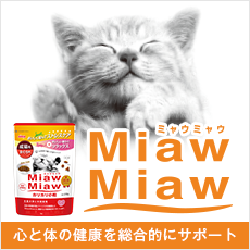 Miaw Miaw