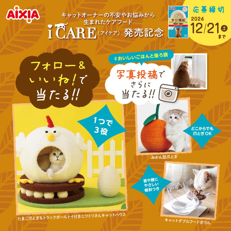 アイシア 純缶ミニ 2種 65g×66缶 賞味期限2025.5.1～8.1 すばやい