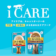 i CARE