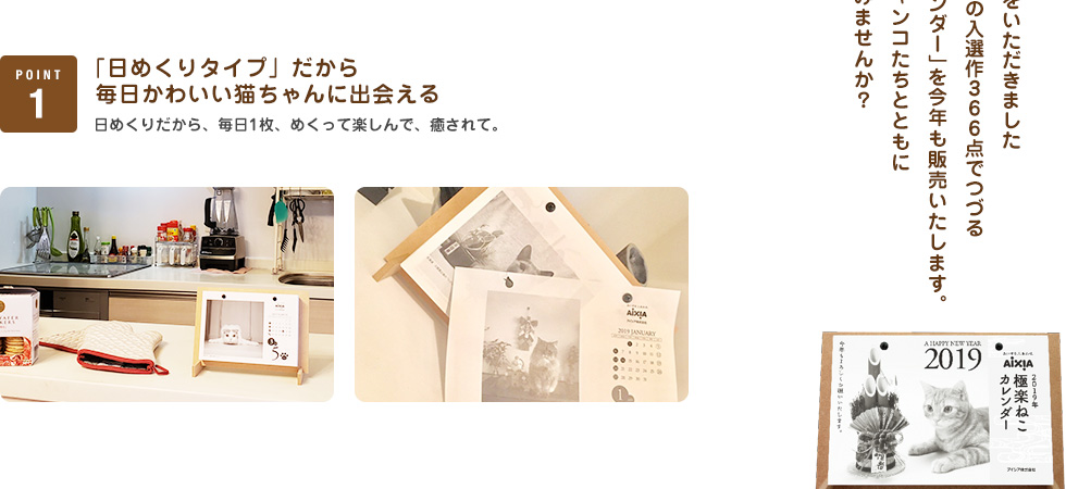 「日めくりタイプ」だから毎日かわいい猫ちゃんに出会える 日めくりだから、毎日1枚、めくって楽しんで、癒されて。