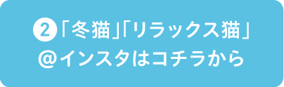 （2）「冬猫」「リラックス猫」＠インスタはコチラから