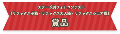 ステージ別フォトコンテスト『リラックス⼦猫・リラックス⼤⼈猫・リラックスシニア猫』賞品