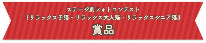 ステージ別フォトコンテスト『リラックス⼦猫・リラックス⼤⼈猫・リラックスシニア猫』賞品