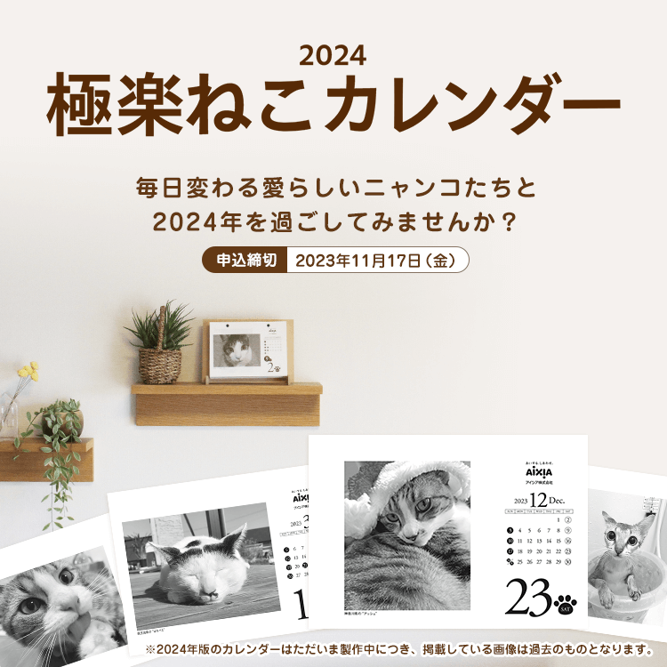 2024極楽ねこカレンダー