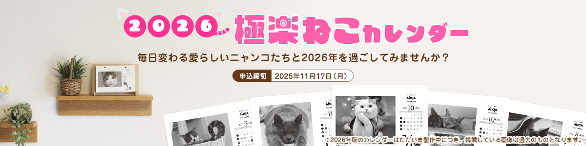 2026極楽ねこカレンダー販売