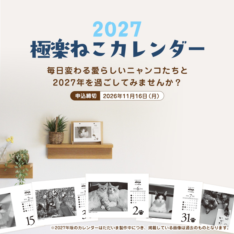 2027極楽ねこカレンダー販売