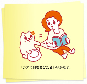 イラスト：「シアに何をあげたらいいかな？」