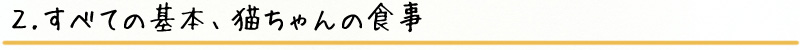 ２.すべての基本 猫ちゃんの食事