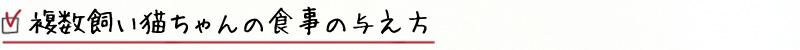 複数飼い猫ちゃんの食事の与え方