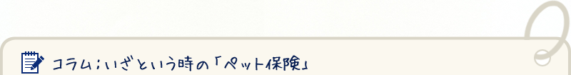 コラム：いざという時の「ペット保険」