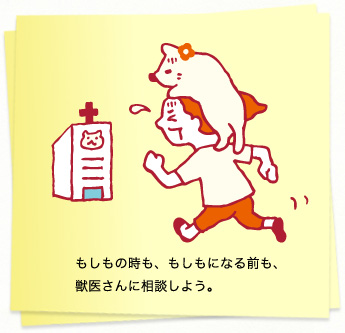 イラスト：もしもの時も、もしもになる前も、獣医さんに相談しよう。