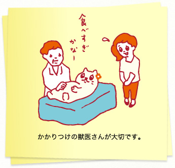 イラスト：かかりつけの獣医さんが大切です。