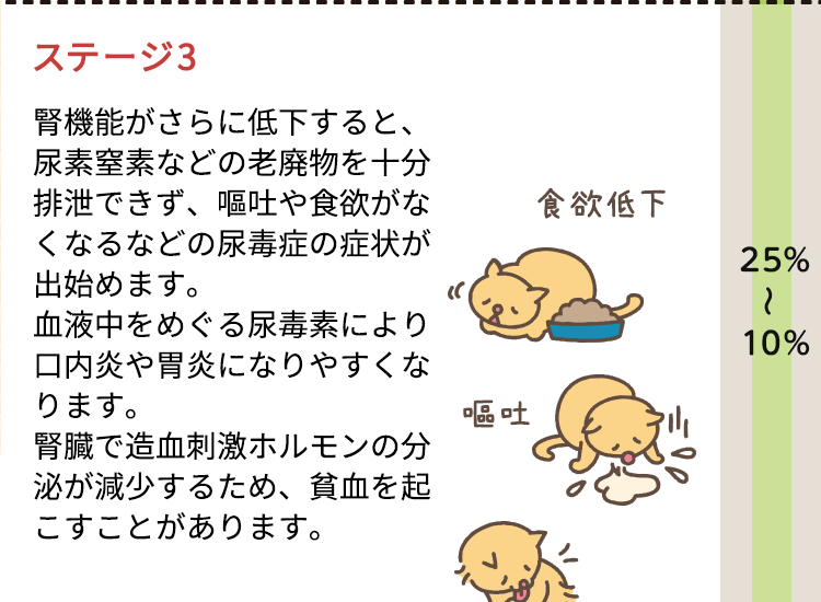ステージ3