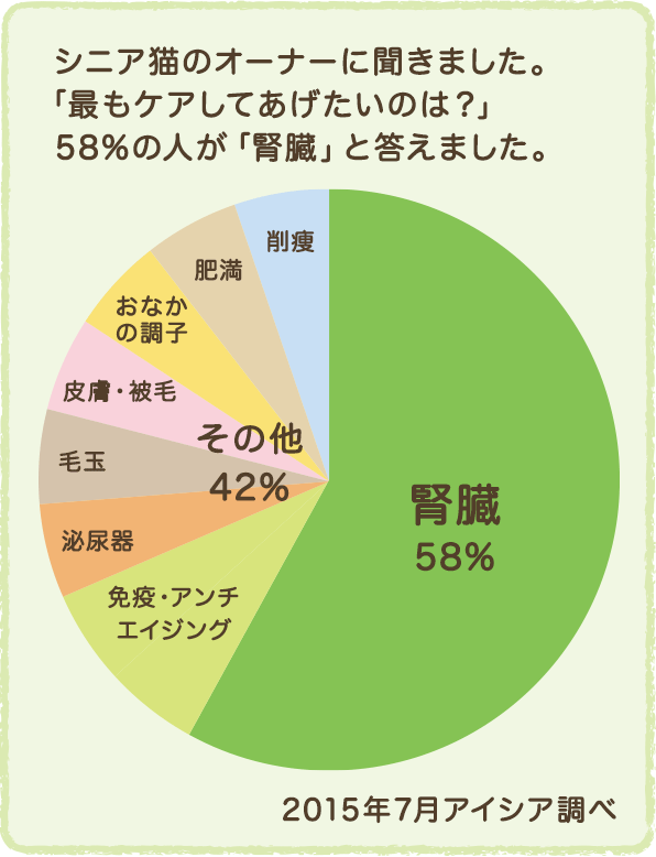 シニア猫のオーナーに聞きました。「最もケアしてあげたいのは？」58%の人が「腎臓」と答えました。