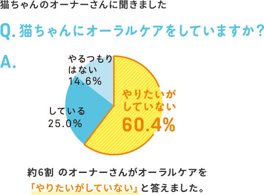 猫ちゃんのオーナーさんに聞きました Q.猫ちゃんにオーラルケアをしていますか？A.やりたいがしていない 60.4% している 25.0% やるつもりはない 14.6% 約6割のオーナーさんがオーラルケアを「やりたいがしていない」と答えました。