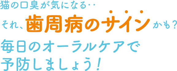 猫の口臭が気になる‥それ、歯周病のサインかも？毎日のオーラルケアで予防しましょう！