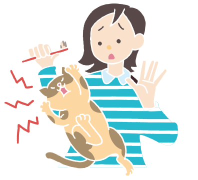 猫ちゃんのオーラルケアって?
