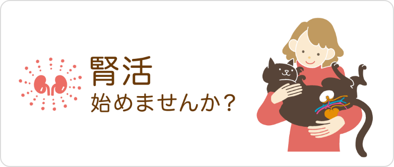 愛する猫の健康を守る「腎活」のススメ