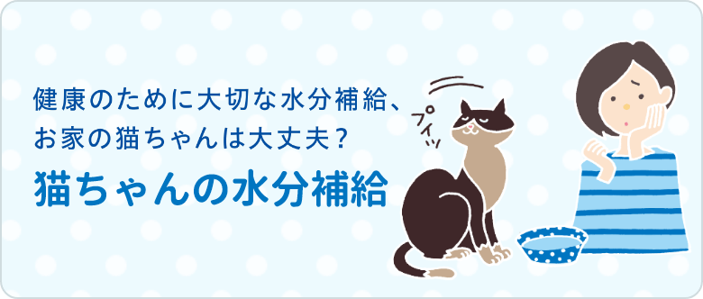 健康のために大切な水分補給、お家の猫ちゃんは大丈夫？猫ちゃんの水分補給