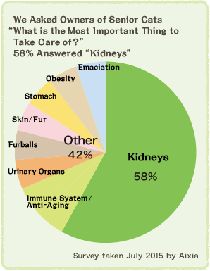 We Asked Owners of Senior Cats “What is the Most Important Thing to Take Care of?” 58% Answered “Kidneys”