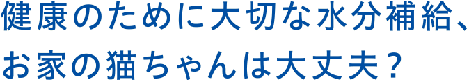 健康のために大切な水分補給、お家の猫ちゃんは大丈夫？