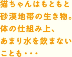 猫ちゃんはもともとのの生き物。体の仕組み上、あまり水を飲まないことも・・・