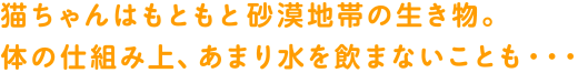 猫ちゃんはもともとのの生き物。体の仕組み上、あまり水を飲まないことも・・・