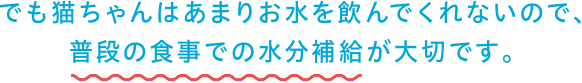 でも猫ちゃんはあまりお水を飲んでくれないので、普段の食事での水分補給が大切です。