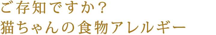 ご存知ですか？猫ちゃんの食物アレルギー