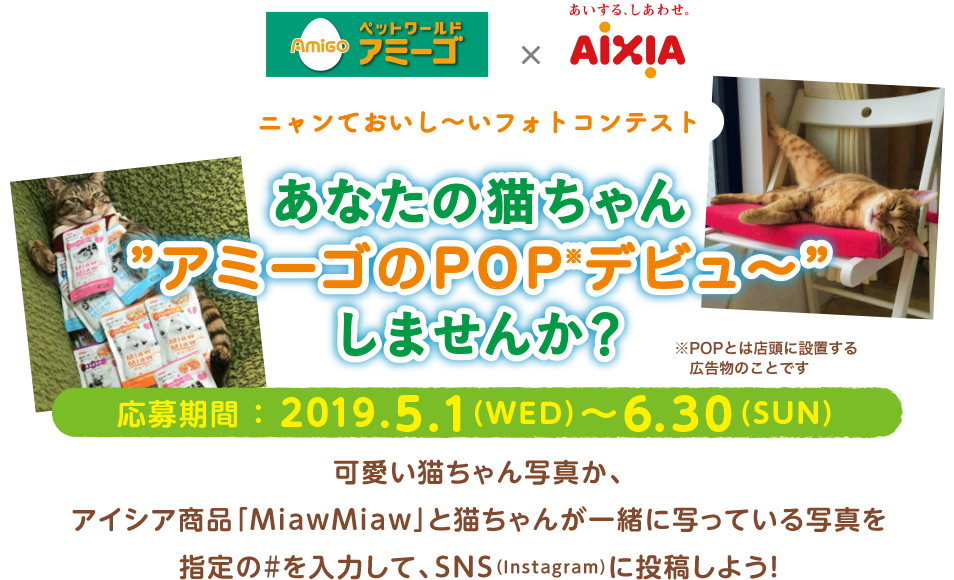 あなたの猫ちゃん”アミーゴのPOPデビュ〜”しませんか？