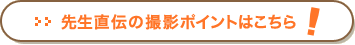 先生直伝の撮影ポイントはこちら！