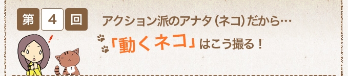 アクション派のアナタ（ネコ）だから…“動くネコ”はこう撮る！