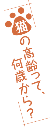 ǭȿʹ֤ǯ𴹻ɽǭιäơФ顩