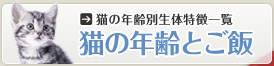 [ǭǯħ]ǭǯȤ