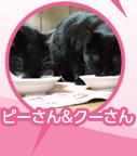 ԡ&μ̿