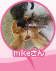 mikeμ̿