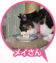 ᥤμ̿