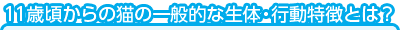 11кǭΰŪΡưħȤϡ