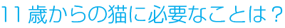 11ФǭɬפʤȤϡ
