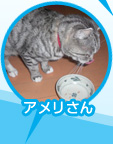 ꤵμ̿