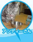 ǥμ̿