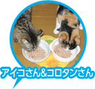 &󤵤μ̿