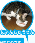 ˤ夦μ̿