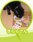 餵μ̿